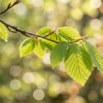 ゴールデンウィーク期間中の営業について