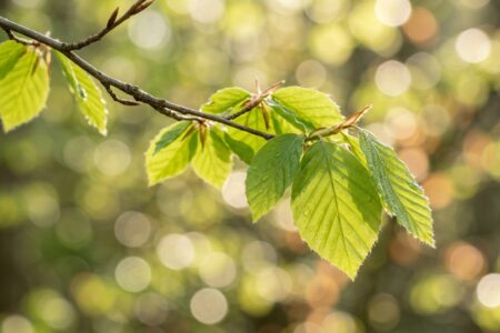 ゴールデンウィーク期間中の営業について